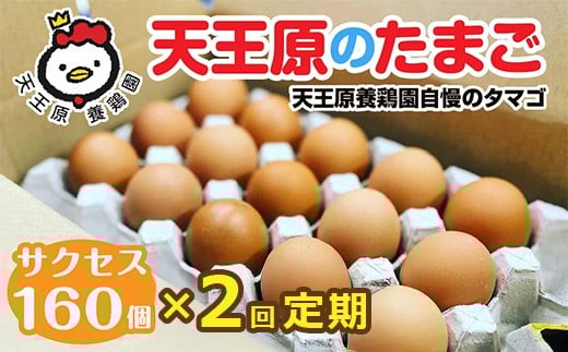 【定期便】2回定期 【天王原のたまご】 サクセス卵160個入り【定期便 2回定期便 セット たまご 卵 玉子 タマゴ 濃厚  ハリ 弾力 ボリューム 甘味 旨味 卵黄 風味 生 コク 甘味 卵かけご飯 卵焼き 目玉焼き オムレツ 茶碗蒸し お菓子作り パンの材料】
