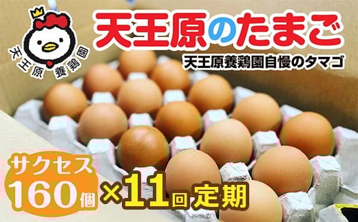 【定期便】11回定期 【天王原のたまご】 サクセス卵160個入り【定期便 11回定期便 セット たまご 卵 玉子 タマゴ 濃厚  ハリ 弾力 ボリューム 甘味 旨味 卵黄 風味 生 コク 甘味 卵かけご飯 卵焼き 目玉焼き オムレツ 茶碗蒸し お菓子作り パンの材料】