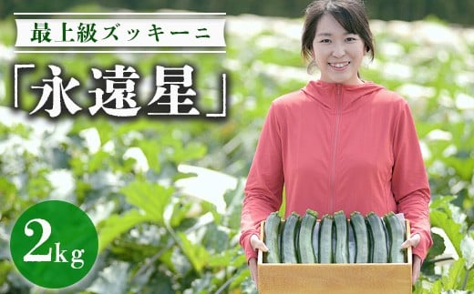 最上級ズッキーニ「永遠星」 ※2026年5月上旬~6月下旬頃に順次発送予定