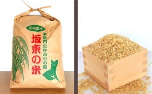 No.177 【令和7年産】茨城県坂東産 コシヒカリ20kg(玄米) / こしひかり 令和7年 新米 米 お米 おこめこめ コメ ご飯 国産米 20kg 20キロ 旨味 粘り 柔らかな食感 ガッツリ 弁当 おいしい お取り寄せ 産地直送 産直 坂東市産 茨城県産 茨城産 茨城県 特産品