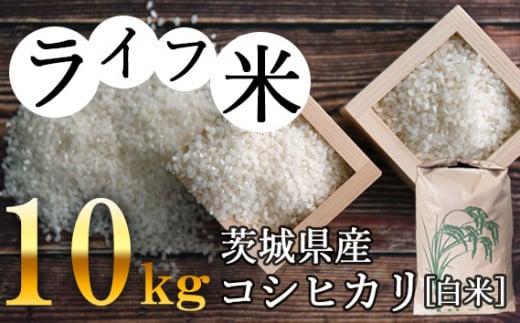 No.004 コシヒカリ・白米 10kg 令和4年産【ライフ米】 / お米 ごはん こしひかり 茨城県