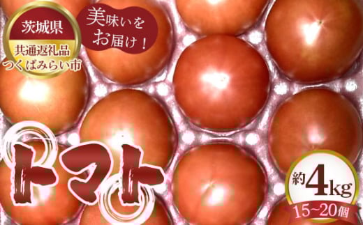 No.331 トマト 約4kg(15~20個)【茨城県共通返礼品 つくばみらい市】 / 旬 新鮮 とまと 野菜 茨城県 特産品