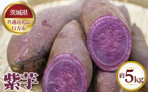 No.623 【先行予約】紫芋 約5kg【茨城県共通返礼品 行方市】 / 野菜 さつまいも いも 茨城県