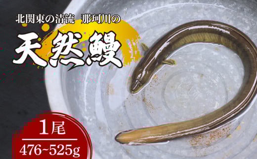 天然鰻 北関東の清流「那珂川産」 1尾 476～525g 真空冷凍 | 鰻 うなぎ ウナギ 天然 天然うなぎ 希少 貴重 鮮魚 新鮮 北関東 清流 蒲焼 かば焼き 白焼き 炭火焼 うな重 うな丼 Riverline 栃木県 茂木町