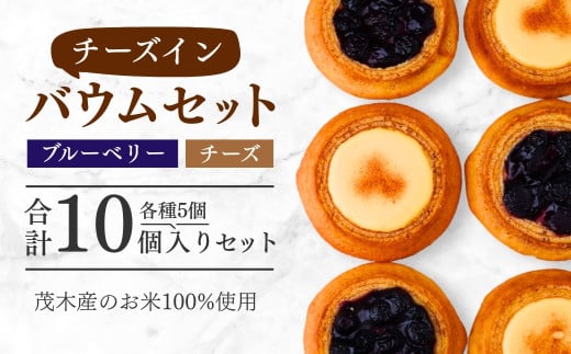 バウムクーヘン茂木町産米粉100%使用 チーズ&ブルーベリーバウムセット 10個(5個×2種) | バームクーヘン スイーツ コシヒカリ 米粉 チーズ ブルーベリー グルテンフリー 発酵 バター コーヒー ベイクドチーズケーキ 洋菓子 ヌン活 お菓子 ギフト 贈答用 プレゼント 箱詰め 箱入り 詰め合せ  濃厚 紅茶 冷凍 酸味 地元産 もちもち 道の駅 もてぎプラザ 栃木県 茂木町