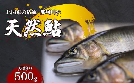 天然鮎(友釣り) 北関東の清流「那珂川産」 500g 真空冷凍 | 鮎 アユ 天然アユ 天然あゆ 魚介 天然 友釣り 鮮魚 新鮮 北関東 清流 塩焼 炭火焼 茶漬け 天ぷら Riverline 栃木県 茂木町