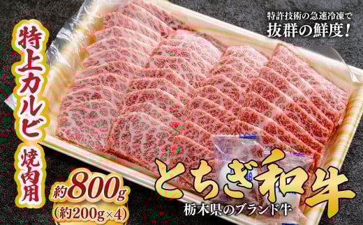 とちぎ和牛の特上カルビ 焼肉用 800g（200g×4）【栃木県共通返礼品】 |  牛肉 肉 お肉 カルビ 特上 バラ肉 焼肉 産地直送 国産 国産牛 和牛 赤身 霜降り 希少 旨味 旨み 熟成 急速冷凍 テクニカン テクニカン社 スキンパック 真空パック 真空包装 コトラミートカルチャ 栃木県 茂木町