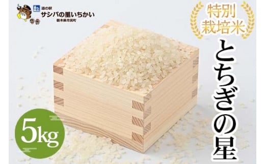 特別栽培米〈とちぎの星〉5kg | 国産 栃木県産 とちぎの星 米 お米 特別栽培米 精米 白米 栃木米 とちぎ米 米の食味ランキング特A評価 産地直送 送料無料 ※離島への配送不可 ※2025年9月中旬頃より順次発送予定