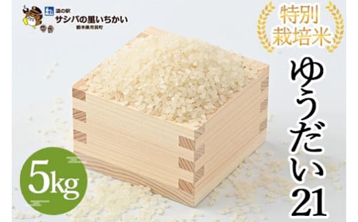 市貝町産 特別栽培米〈ゆうだい21〉5kg | 国産 栃木県産米 お米 特別栽培米 精米 白米 栃木米 とちぎ米 ※離島への配送不可 ※2025年9月中旬頃より順次発送予定
