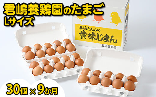 【9か月定期便】君嶋養鶏園のたまご Lサイズ 30個（27個＋割れ補償3個）×9ヶ月 計270個 | 定期便 9ヶ月 9か月 9ヵ月 卵 玉子 たまご 赤卵 赤たまご 生卵 国産 濃厚 鶏卵 コク 旨味