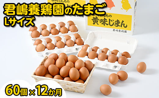 【12か月定期便】君嶋養鶏園のたまご Lサイズ 60個（55個＋割れ補償5個）×12ヶ月 計720個 | 定期便 12ヶ月 12か月 12ヵ月 卵 玉子 たまご 赤卵 赤たまご 生卵 国産 濃厚 鶏卵 コク 旨味