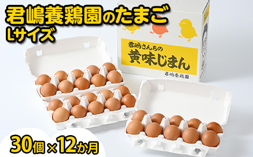 【12か月定期便】君嶋養鶏園のたまご Lサイズ 30個（27個＋割れ補償3個）×12ヶ月 計360個 | 定期便 12ヶ月 12か月 12ヵ月 卵 玉子 たまご 赤卵 赤たまご 生卵 国産 濃厚 鶏卵 コク 旨味