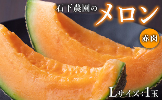 [先行予約]石下農園のメロン 赤肉 Lサイズ 1玉 | 果物 くだもの フルーツ メロン 国産 クインシーメロン 赤肉 赤肉メロン 旬 期間限定 季節限定 夏季限定 産地直送 栃木県 芳賀町※2025年8月上旬〜8月中旬頃に順次発送予定※離島への配送不可