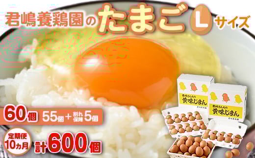 【10か月定期便】君嶋養鶏園のたまご Lサイズ 60個（55個＋割れ補償5個）×10ヶ月 計600個 | 定期便 10ヶ月 10か月 10ヵ月 卵 玉子 たまご 赤卵 赤たまご 生卵 国産 濃厚 鶏卵 コク 旨味