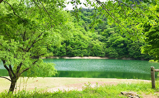 １）自然環境の維持保全に関する事業