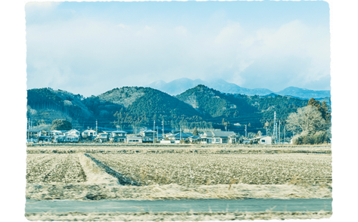 ５）文化財の保全、伝統行事の振興に関する事業