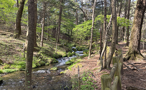 ６）その他、町長が必要と認める事業