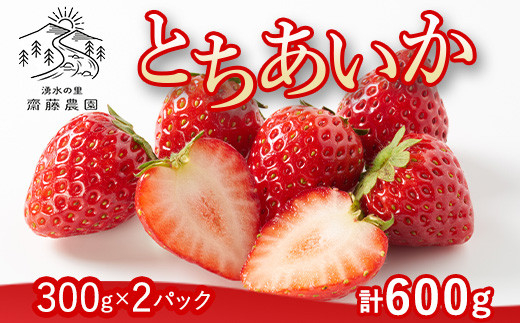 とちあいか（300g×2パック 計600g）風袋入り ｜ 手作り 厳選 農家 特産品 新鮮 フレッシュ ストロベリー 苺 イチゴ 栃木県 塩谷町 ※2026年12月～発送
