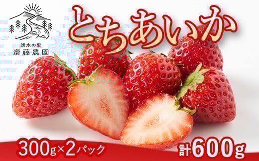 とちあいか(300g×2パック 計600g)風袋入り | 手作り 厳選 農家 特産品 新鮮 フレッシュ ストロベリー 苺 イチゴ 栃木県 塩谷町 ※2025年12月上旬~2026年4月下旬頃に順次発送予定 ※北海道・沖縄・離島への配送不可