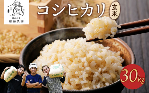 【先行受付】令和7年産新米 コシヒカリ玄米30kg | 米 お米 国産 栃木県 塩谷町 ※2025年12月上旬頃より順次発送予定