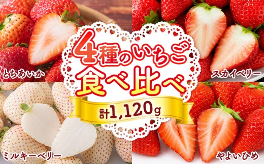 【先行受付】4種のいちご食べ比べセット 約280g×4パック （とちあいか・スカイベリー・ミルキーベリー・やよいひめ） ｜ いちご 苺 イチゴ 果物 フルーツ 食べ比べ 栃木県 塩谷町 ※2027年1月～発送
