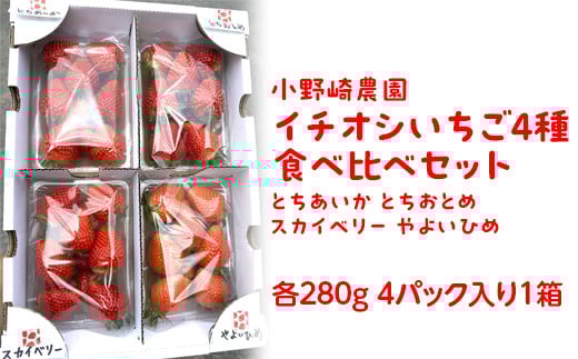 【先行受付】小野崎農園 イチオシいちご4種食べ比べセット (とちあいか とちおとめ スカイベリー やよいひめ各280g 4パック入り1箱) ｜果物 苺 栃木県産 小野崎農園 数量限定 期間限定※2026年1月上旬～3月下旬頃に順次発送予定
