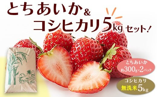とちあいか（約300g×2パック）＆令和8年産無洗米コシヒカリ5kgセット！｜いちご とちあいか 米 | お米 白米 米 こめ コメ 5キロ 尚仁沢湧水 栃木県 塩谷町 ※2026年12月～発送