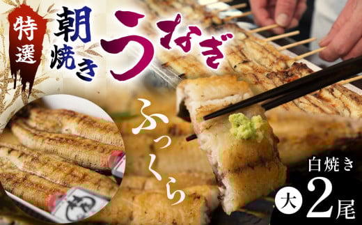 【定期便・年６回偶数月発送】特選ふっくら朝焼きうなぎ　林屋（白焼き大２尾）| 特選ふっくら朝焼きうなぎ 林屋 白焼き 特選白焼き 白焼きうなぎ 高級林屋 ふるさと納税 栃木県 那珂川町 送料無料