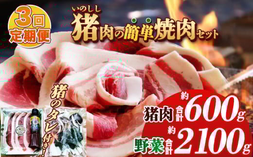 【定期便 3回】猪肉の簡単焼肉セット 900g | 肉 にく 猪肉 猪 焼肉 ご褒美 ふるさと納税 栃木県 那珂川町 送料無料