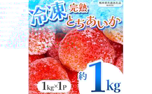 [栃木県共通返礼品]完熟冷凍とちあいか 1kg | いちご とちあいか 冷凍 冷凍イチゴ スイーツ ジャム スムージー たっぷり 大粒 甘い 美味しい 果物 デザート 栃木県 那珂川町 送料無料