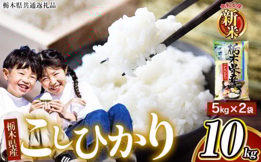【栃木県共通返礼品】【令和7年度産新米】 栃木県産 こしひかり 白米 10kg （5kg×2袋） | ９月発送 ふるさと 納税 コシヒカリ お米 精米 白米 玄米 大粒 共通返礼品 送料無料 那珂川町 栃木県