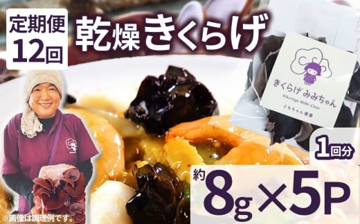 【定期便12回】乾燥きくらげ 8g×5P ともちゃん農園|定期便 乾燥きくらげ きくらげ 贈答用 乾燥 きくらげ 食物繊維 鉄分 カルシウム ビタミンD カリウム アミノ酸  高血圧予防 ふるさと 納税 栃木県 那珂川町 送料無料