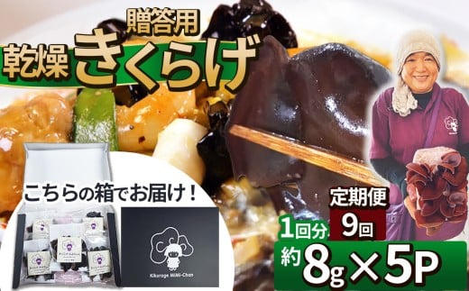 【定期便9回】贈答用乾燥きくらげ 8g×5P ともちゃん農園 |定期便 贈答用 乾燥 きくらげ 食物繊維 鉄分 カルシウム ビタミンD カリウム アミノ酸  高血圧予防 ふるさと 納税栃木県 那珂川町