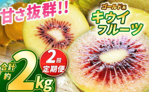 【2025年先行予約】【定期便2回】甘さ抜群のゴールド系 キウイフルーツ 約1kg | 果物 くだもの フルーツ 野菜 やさい ヤサイ キウイ きうい ゴールドキウイ ごーるどきうい 新鮮 フレッシュ 甘い 美味しい フルーツ デザート 栃木県 那珂川町 送料無料