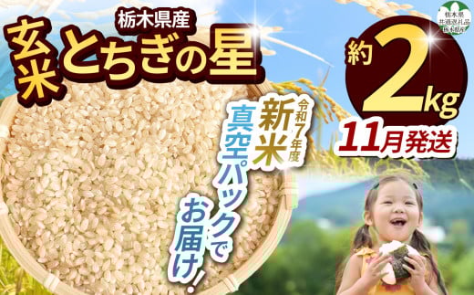 [先行予約][令和7年度新米][毎月500個限定!] [栃木県共通返礼品]栃木県産とちぎの星 2kg(玄米真空パック)11月分 | 新米 とちぎの星 玄米 米 ごはん 冷めてもおいしい ふるさと納税 那珂川町 栃木県