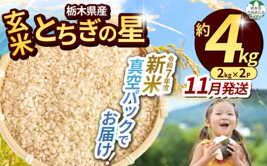 訳あり 【令和7年度新米】【栃木県共通返礼品】栃木県産とちぎの星 2kg×2（玄米真空パック）11月分 | 新米 とちぎの星 玄米 米 ごはん  冷めてもおいしい ふるさと納税 那珂川町 栃木県