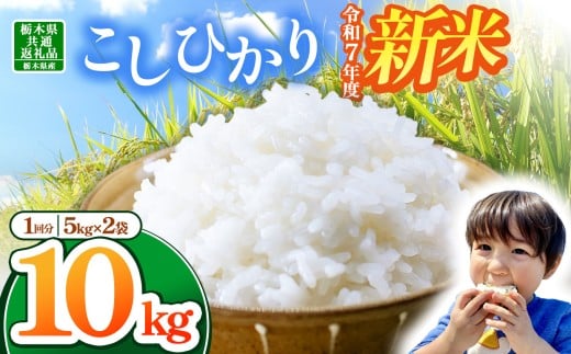【栃木県共通返礼品】【令和7年度新米】栃木県産コシヒカリ 10kg | ふるさと 納税 コシヒカリ お米 精米 白米 玄米 大粒 共通返礼品 送料無料 那珂川町 栃木県