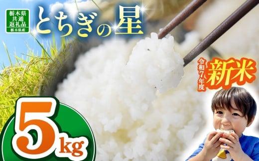 【栃木県共通返礼品】【令和7年度新米】栃木県産とちぎの星 5kg | ふるさと 納税 とちぎの星 お米 精米 白米 玄米 大粒 共通返礼品 送料無料 那珂川町 栃木県