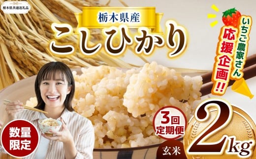 [令和7年度新米先行予約][栃木県共通返礼品][数量限定][3回定期便]令和7年度新米 栃木県産コシヒカリ 2kg |定期便 数量限定 こしひかり 玄米 米 ごはん おいしい 玄米真空パック ふるさと納税 那珂川町 栃木県