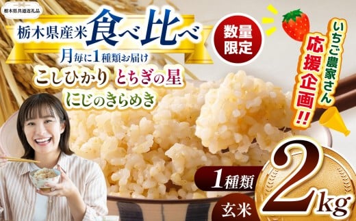 [令和7年度新米先行予約][栃木県共通返礼品][数量限定]栃木県産コシヒカリ とちぎの星 にじのきらめき 2kg 食べ比べ定期便 |定期便 数量限定 こしひかり とちぎの星 ミルキークイーン にじのきらめき 玄米 米 ごはん おいしい 玄米真空パック ふるさと納税 那珂川町 栃木県