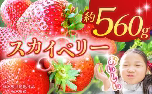 [栃木県共通返礼品][2026年先行予約]スカイベリー 280g×2P| 年始発送 果物 くだもの フルーツ 野菜 やさい ヤサイ 苺 イチゴ いちご スカイベリー 新鮮 甘い 数量 限定 美味しい 果物 共通返礼品 フルーツ デザート 栃木県 那珂川町 送料無料