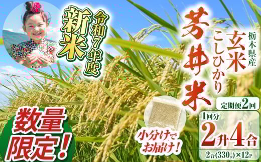【定期便2回】【数量限定】【令和7年度新米】新米那珂川町産芳井米 玄米 330g（2合分）×12 | こしひかり 新米 米 ごはん  ふっくら もちもち  ふるさと納税 那珂川町 栃木県