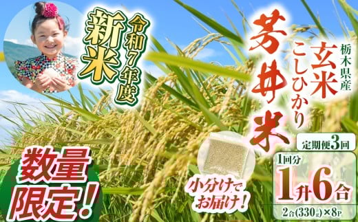 【定期便3回】【数量限定】【令和7年度新米】新米那珂川町産芳井米 玄米 330g（2合分）×8 | こしひかり 新米 米 ごはん  ふっくら もちもち  ふるさと納税 那珂川町 栃木県