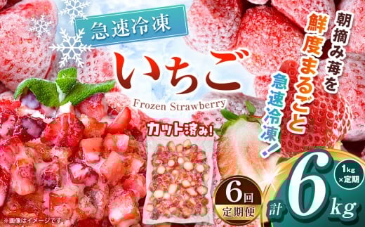 【栃木県共通返礼品】【定期便6回】冷凍いちご 1kg | 定期便 いちご とちあいか 冷凍 冷凍イチゴ スイーツ ジャム スムージー たっぷり 大粒  甘い 美味しい 果物 デザート 栃木県 那珂川町 送料無料