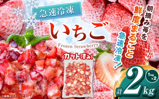 【栃木県共通返礼品】冷凍いちご 2kg | いちご とちあいか 冷凍 冷凍イチゴ スイーツ ジャム スムージー たっぷり 大粒  甘い 美味しい 果物 デザート 栃木県 那珂川町 送料無料