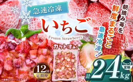 【栃木県共通返礼品】【定期便12回】冷凍いちご 2kg | 定期便 いちご とちあいか 冷凍 冷凍イチゴ スイーツ ジャム スムージー たっぷり 大粒  甘い 美味しい 果物 デザート 栃木県 那珂川町 送料無料