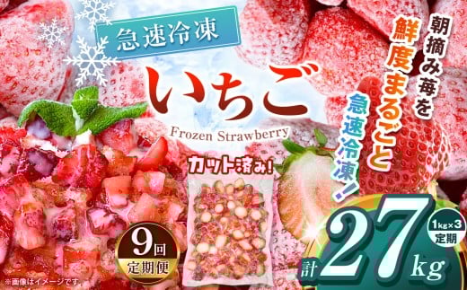 【栃木県共通返礼品】【定期便9回】冷凍いちご 3kg | いちご とちあいか 冷凍 冷凍イチゴ スイーツ ジャム スムージー たっぷり 大粒  甘い 美味しい 果物 デザート 栃木県 那珂川町 送料無料
