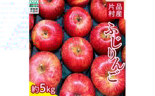 ☆数量限定☆ 尾瀬の郷 片品村産 ふじりんご