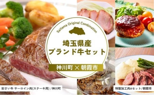 埼玉県産ブランド牛セットA | 牛肉 サーロイン ステーキ 彩さい牛 ブランド牛 ローストポーク ローストビーフ チャーシュー ハンバーグ 埼玉県 埼玉県庁