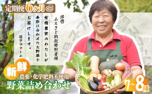 ＜6ヵ月定期便＞旬の野菜詰め合わせ7種~8種 | 野菜 定期便 季節の野菜 旬の野菜 新鮮野菜 産地直送 栽培期間中農薬不使用 有機 オーガニック フレッシュ セット 詰め合わせ サラダ 料理 炒め物 煮物 スムージー 旬 おいしい 安全 安心 お取り寄せ ギフト おすすめ 3回 6回 12回 世界農業遺産 埼玉県 所沢市